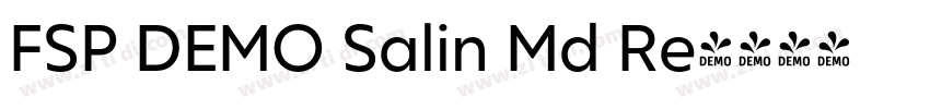 FSP DEMO Salin Md Re字体转换
